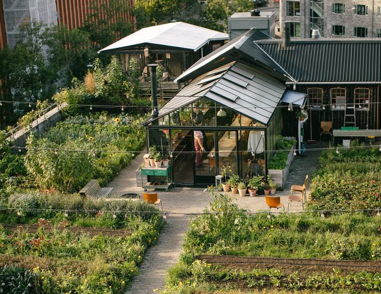 An aerial view of Gro Spiseri rooftop greenhouse restaurant in Copenhagen; crops surround the greenhouse