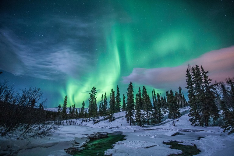The greenish hues of the Northern Lights above the snowy, pine-tree filled landscape at Fish Lake, Whitehorse, Yukon