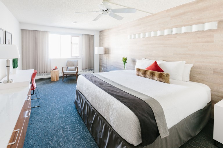 Bright and spacious king room with pale wood accent wall, desk and textured blue carpet at the Elk and Avenue Hotel