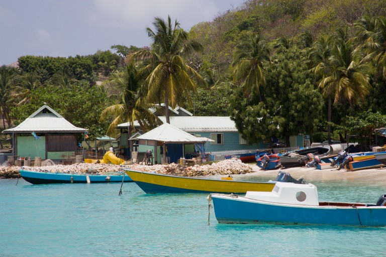 Fishing boats in water and buildings beneath coconut palm trees in St Vincent and the Grenadines